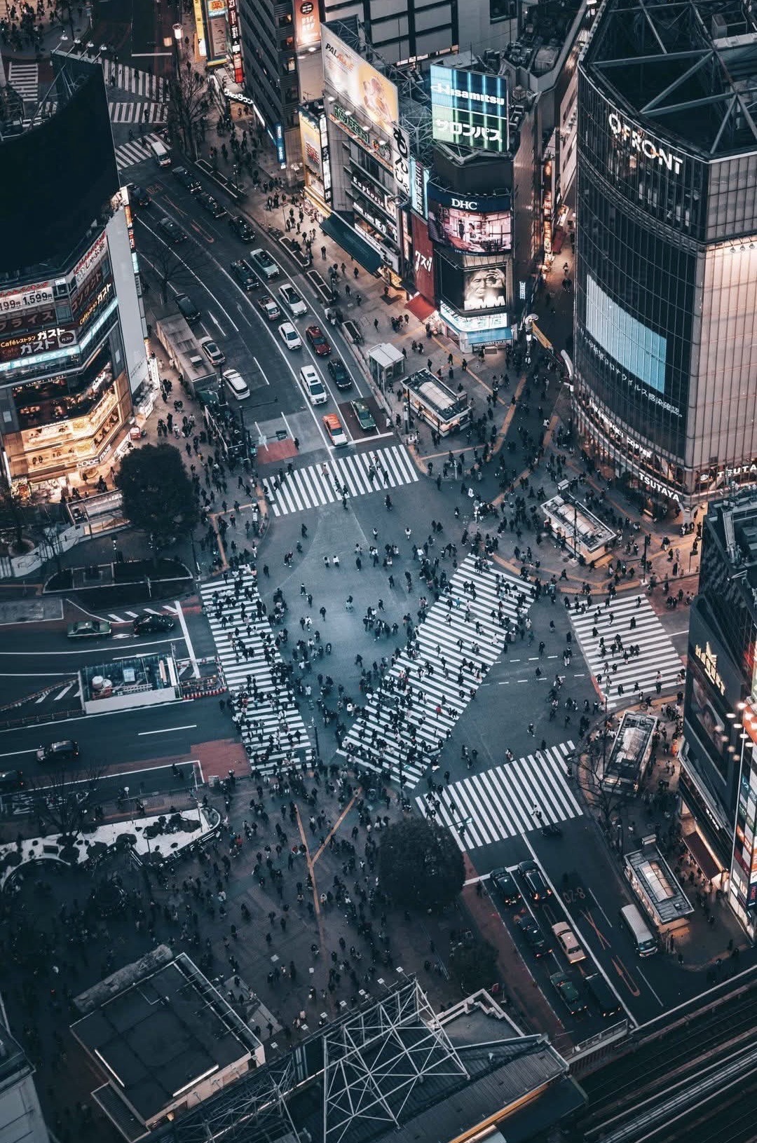 Shibuya Crossing